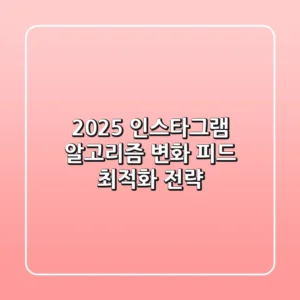 2025 인스타그램 알고리즘 변화: 피드 최적화 전략