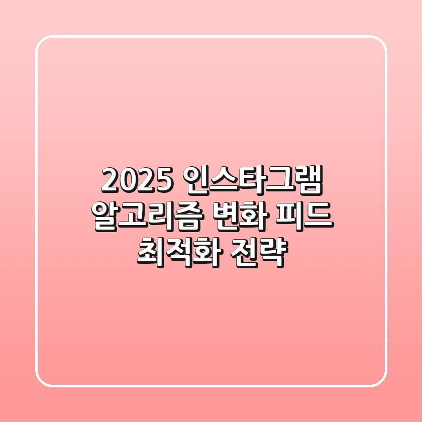 2025 인스타그램 알고리즘 변화: 피드 최적화 전략