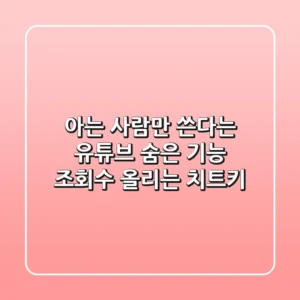 아는 사람만 쓴다는 유튜브 숨은 기능, 조회수 올리는 치트키?
