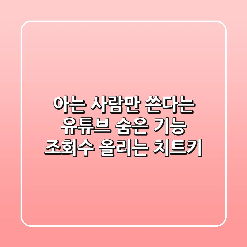 아는 사람만 쓴다는 유튜브 숨은 기능, 조회수 올리는 치트키?