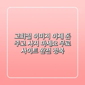 고화질 이미지, 이제 돈 주고 사지 마세요! 무료 사이트 완전 정복