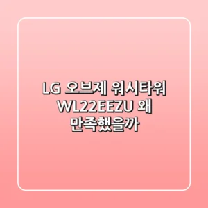 LG 오브제 워시타워 WL22EEZU, 왜 만족했을까?