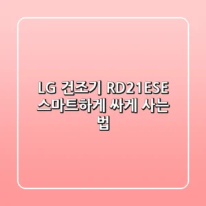 LG 건조기 RD21ESE: 스마트하게 싸게 사는 법