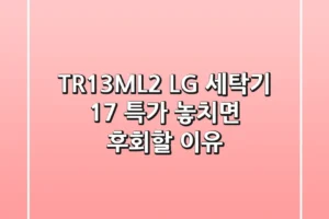 TR13ML2 LG 세탁기: 17% 특가, 놓치면 후회할 이유!
