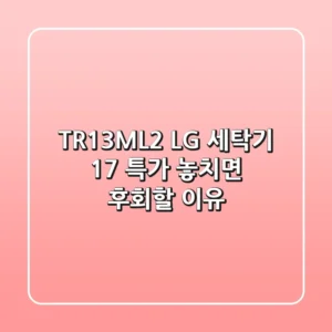 TR13ML2 LG 세탁기: 17% 특가, 놓치면 후회할 이유!