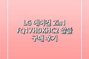 LG 에어컨 2in1 FQ17HDKHC2 알뜰 구매 후기