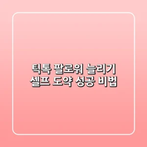틱톡 팔로워 늘리기: 셀프 도약 성공 비법