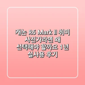 캐논 R6 Mark II, 취미 사진가라면 왜 선택해야 할까요? 1년 실사용 후기