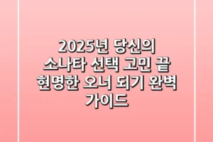 2025년, 당신의 소나타 선택 고민 끝! 현명한 오너 되기 완벽 가이드