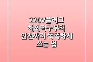 220V플러그, 해외직구부터 안전까지 똑똑하게 쓰는 법