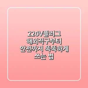 220V플러그, 해외직구부터 안전까지 똑똑하게 쓰는 법