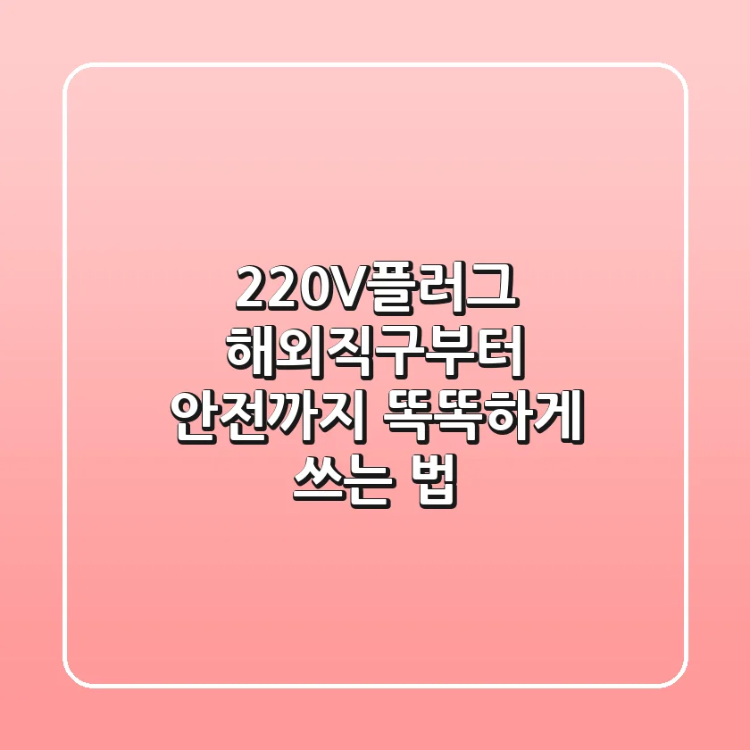 220V플러그, 해외직구부터 안전까지 똑똑하게 쓰는 법
