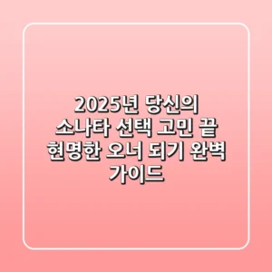 2025년, 당신의 소나타 선택 고민 끝! 현명한 오너 되기 완벽 가이드
