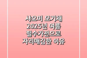 샤오미 모기채, 2025년 여름 필수가전으로 자리매김한 이유