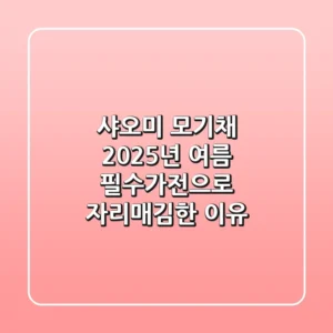 샤오미 모기채, 2025년 여름 필수가전으로 자리매김한 이유