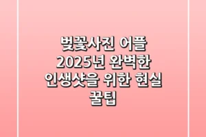 벚꽃사진 어플, 2025년 완벽한 인생샷을 위한 현실 꿀팁