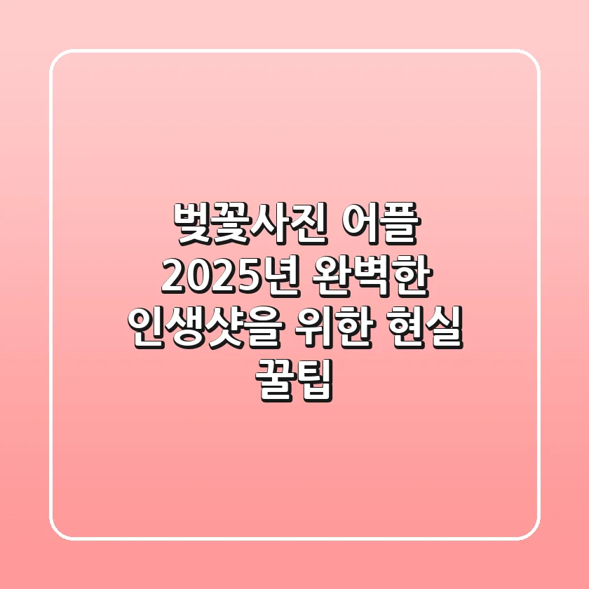 벚꽃사진 어플, 2025년 완벽한 인생샷을 위한 현실 꿀팁