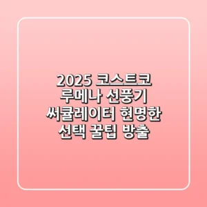 2025 코스트코 루메나 선풍기, 써큘레이터 현명한 선택 & 꿀팁 방출!