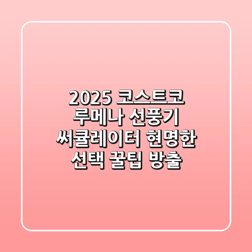 2025 코스트코 루메나 선풍기, 써큘레이터 현명한 선택 & 꿀팁 방출!