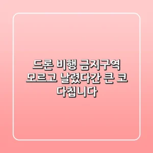 드론 비행 금지구역, 모르고 날렸다간 '큰 코' 다칩니다!