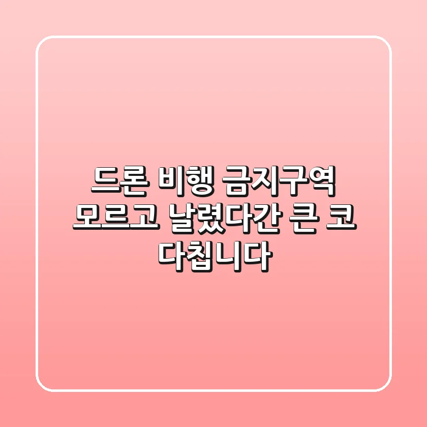 드론 비행 금지구역, 모르고 날렸다간 '큰 코' 다칩니다!