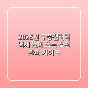 2025년 무풍갤러리, 냄새 없이 쓰는 실전 관리 가이드