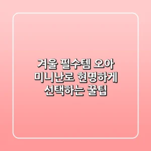 겨울 필수템 오아 미니난로, 현명하게 선택하는 꿀팁!