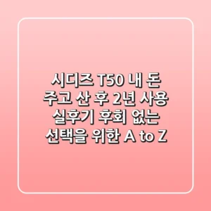 시디즈 T50, 내 돈 주고 산 후 2년 사용 실후기: 후회 없는 선택을 위한 A to Z