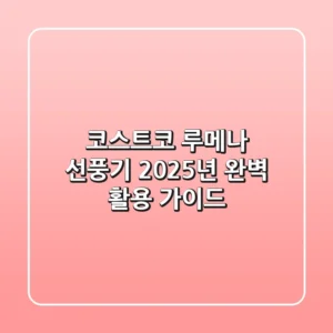 코스트코 루메나 선풍기, 2025년 완벽 활용 가이드