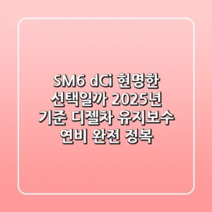 SM6 dCi, 현명한 선택일까? 2025년 기준 디젤차 유지보수 & 연비 완전 정복