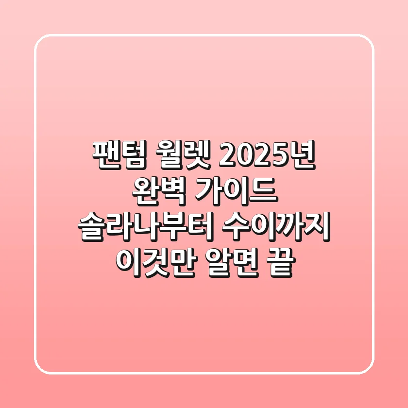 팬텀 월렛 2025년 완벽 가이드: 솔라나부터 수이까지, 이것만 알면 끝!