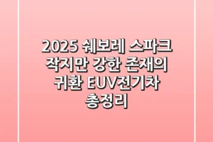 2025 쉐보레 스파크, 작지만 강한 존재의 귀환? EUV/전기차 총정리!