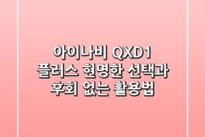 아이나비 QXD1 플러스, 현명한 선택과 후회 없는 활용법