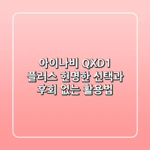 아이나비 QXD1 플러스, 현명한 선택과 후회 없는 활용법
