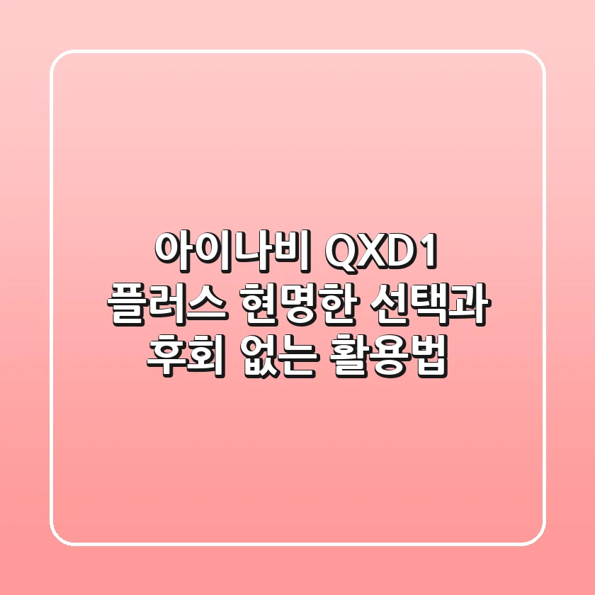 아이나비 QXD1 플러스, 현명한 선택과 후회 없는 활용법