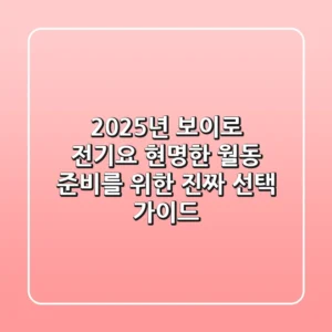 2025년 보이로 전기요, 현명한 월동 준비를 위한 '진짜' 선택 가이드