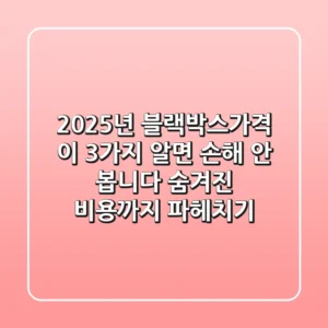 2025년 블랙박스가격, 이 3가지 알면 손해 안 봅니다: 숨겨진 비용까지 파헤치기