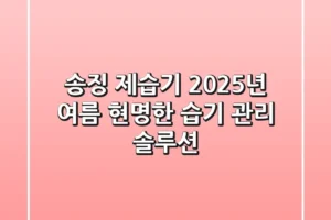 송징 제습기, 2025년 여름 현명한 습기 관리 솔루션?