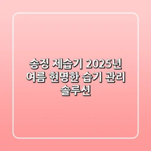 송징 제습기, 2025년 여름 현명한 습기 관리 솔루션?
