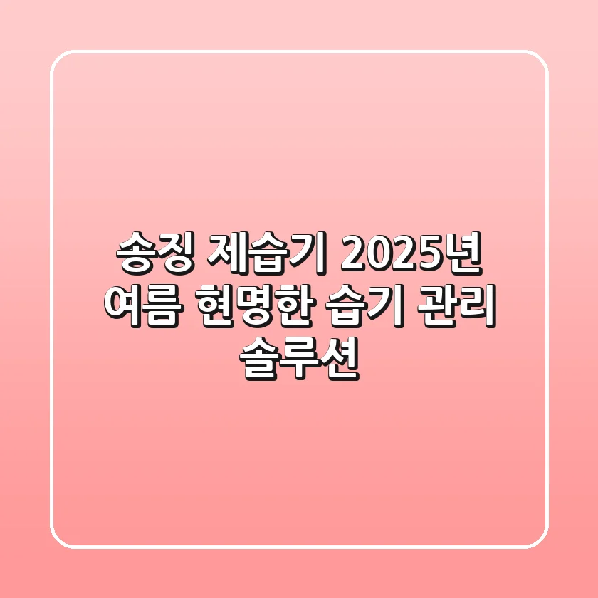 송징 제습기, 2025년 여름 현명한 습기 관리 솔루션?