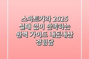 스마트카라 2025, 실패 없이 만족하는 완벽 가이드: 내돈내산 경험담