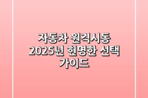 자동차 원격시동, 2025년 현명한 선택 가이드