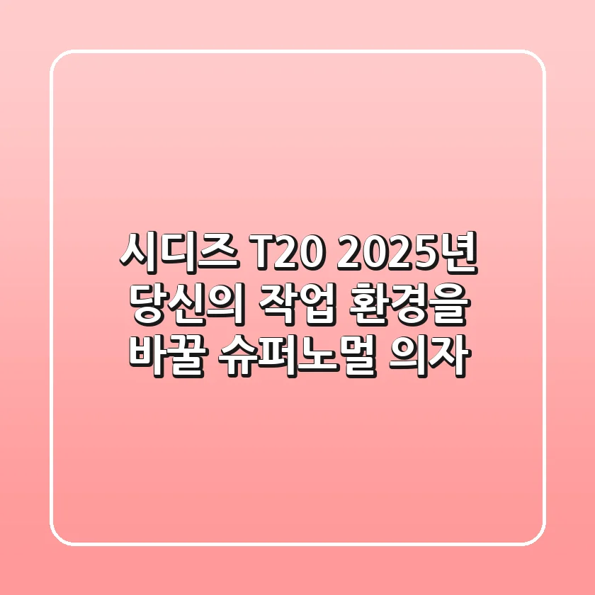 시디즈 T20, 2025년 당신의 작업 환경을 바꿀 슈퍼노멀 의자