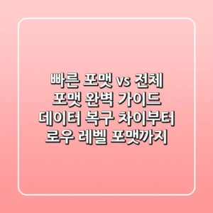 "빠른 포맷 vs 전체 포맷 완벽 가이드: 데이터 복구 차이부터 로우 레벨 포맷까지"